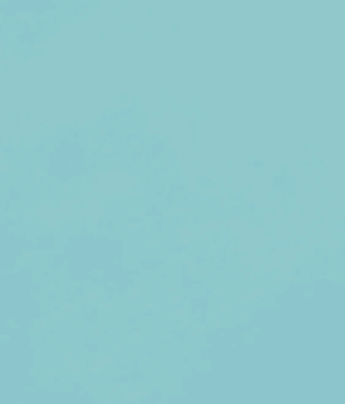 Color Code Maci Bralette Bikini Top D-DDD Cups - Image 4
