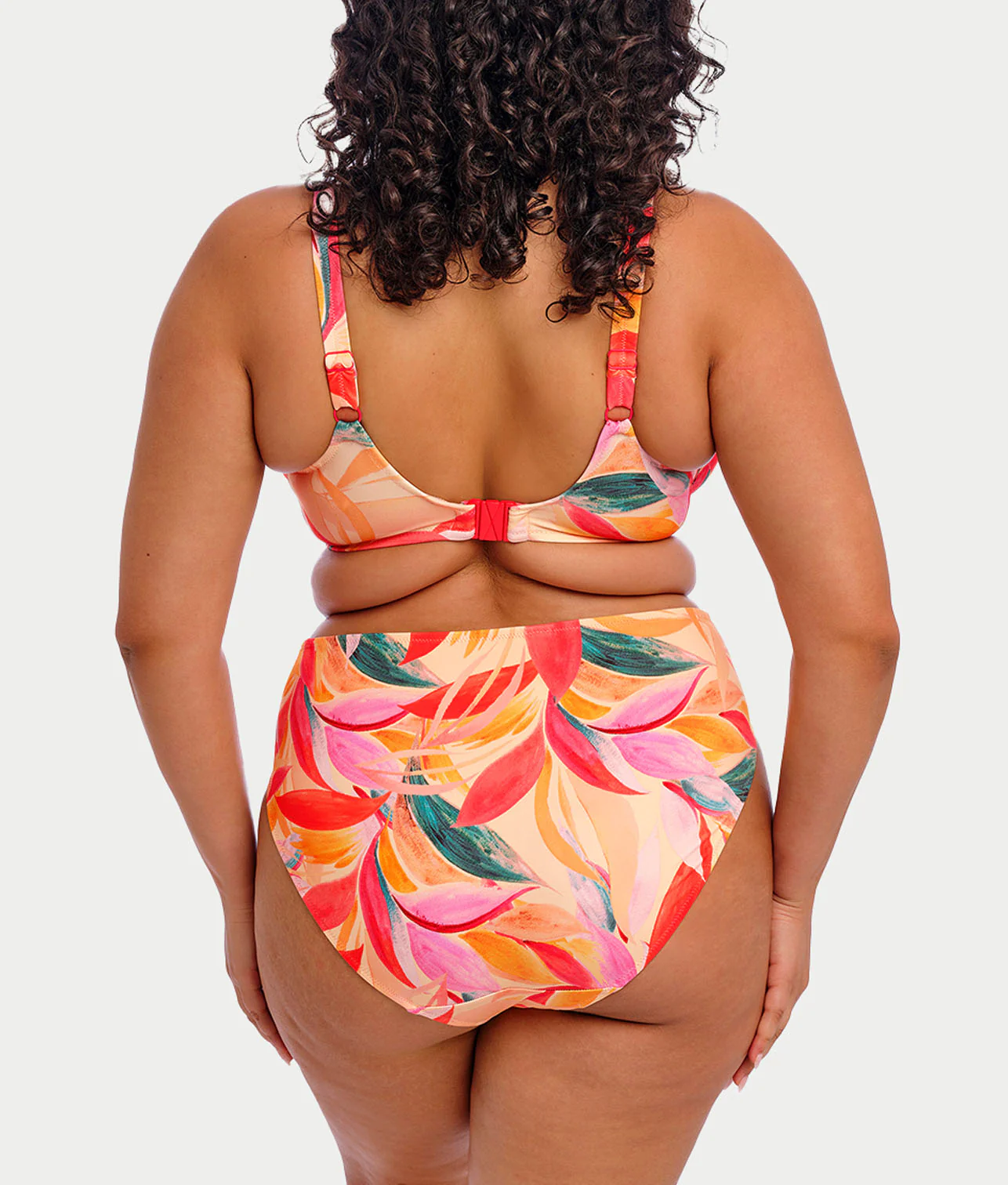 Plus Size Sancho Beach Mid Rise Bikini Bottom - Image 2