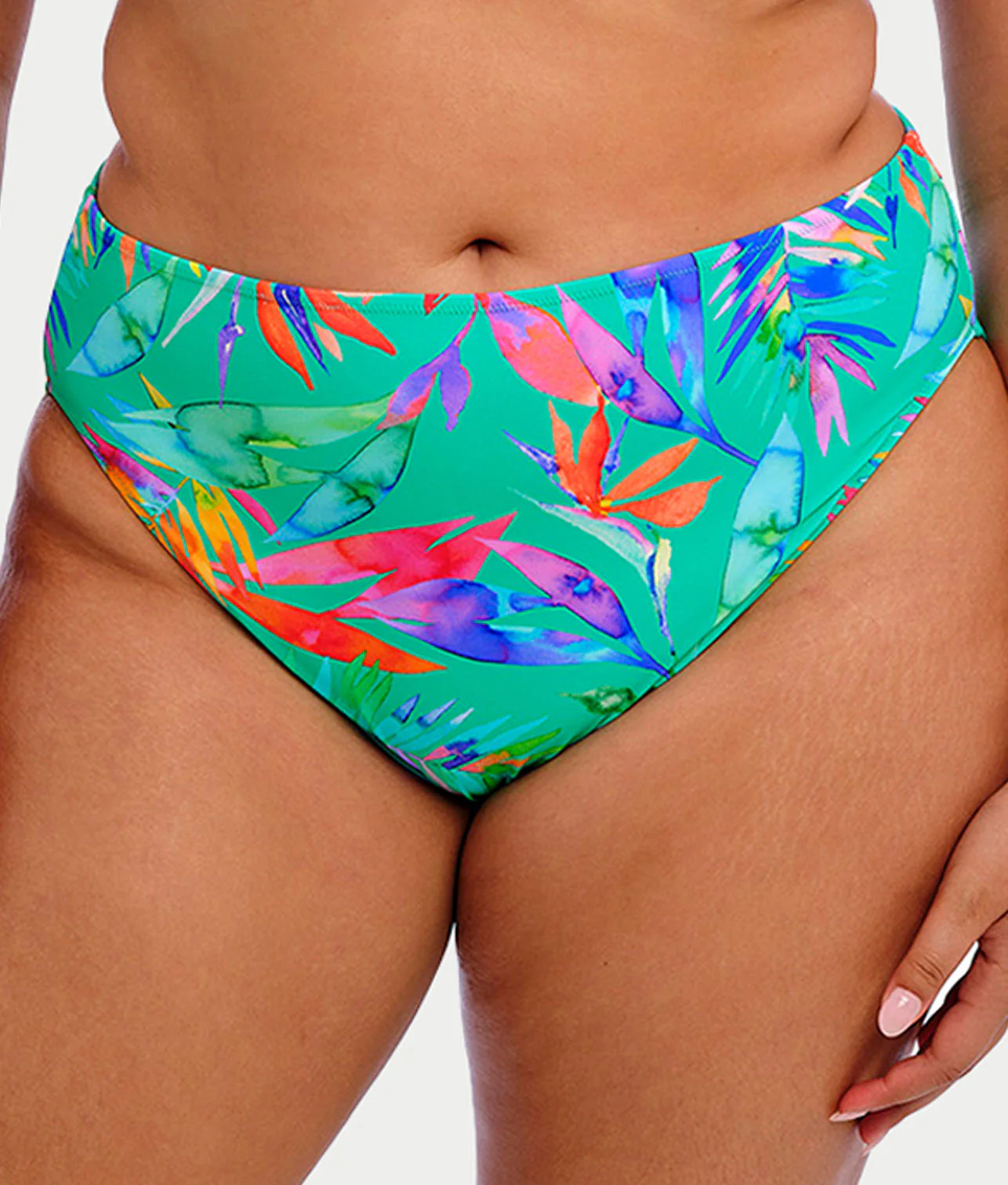 Plus Size Toyama Tides Mid Rise Bikini Bottom - Image 4