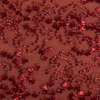 Cassiopee Brief - Image 5