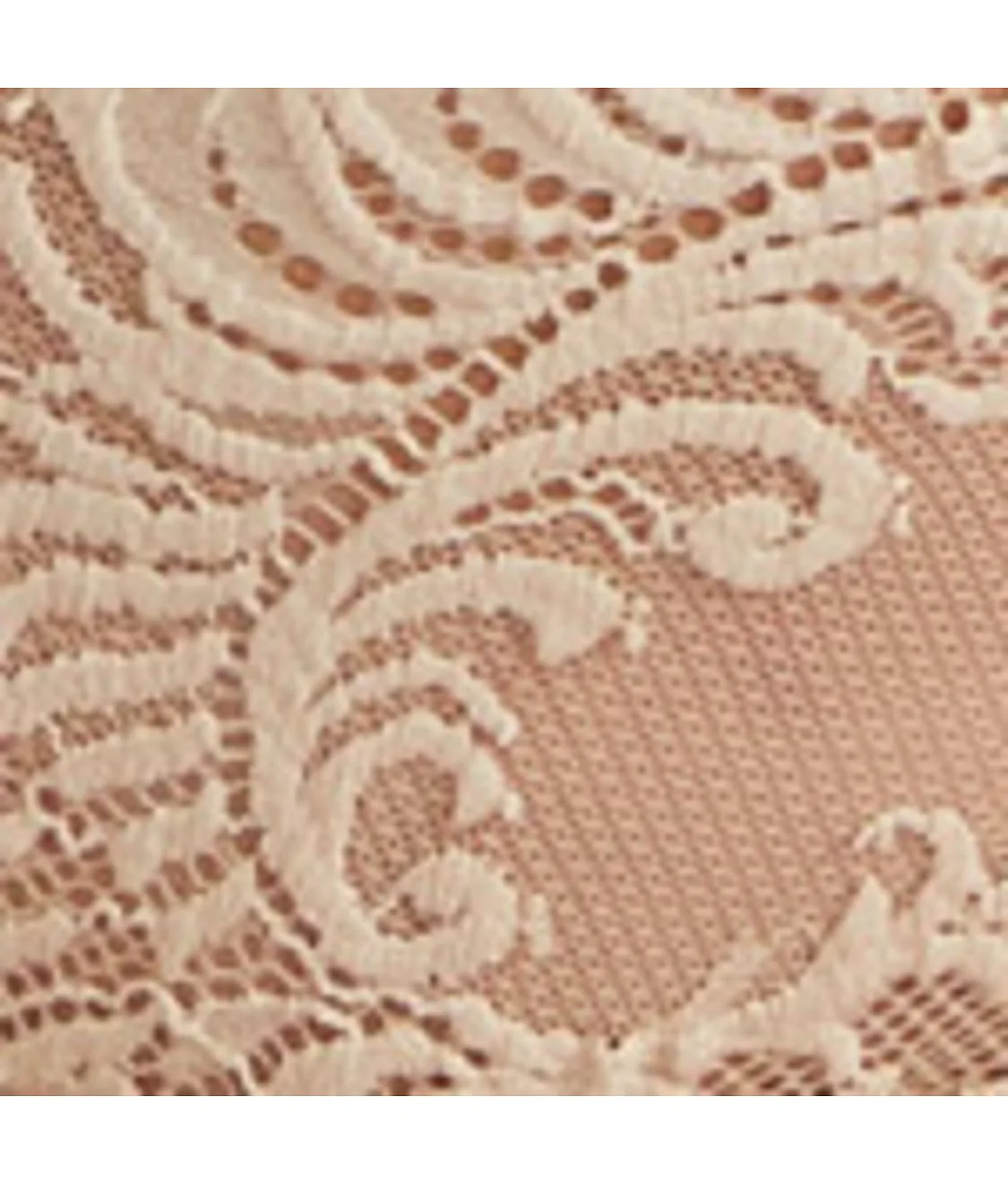 Feathers Full Brief - Image 19