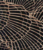 Samoa Ring Detail Bikini Bottom - Image 5