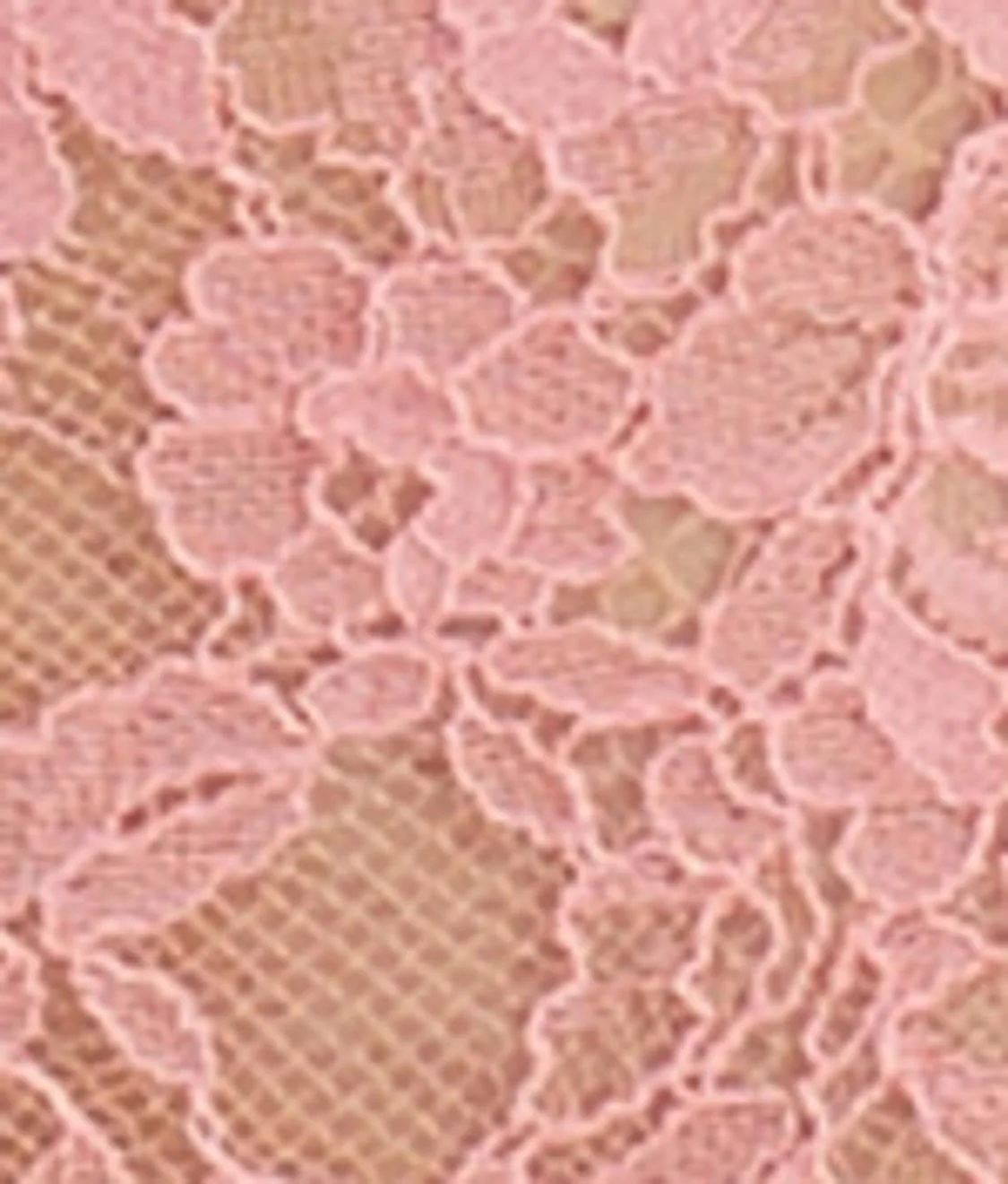 Entice Brief - Image 13