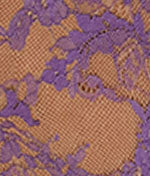 Entice Brief - Image 23