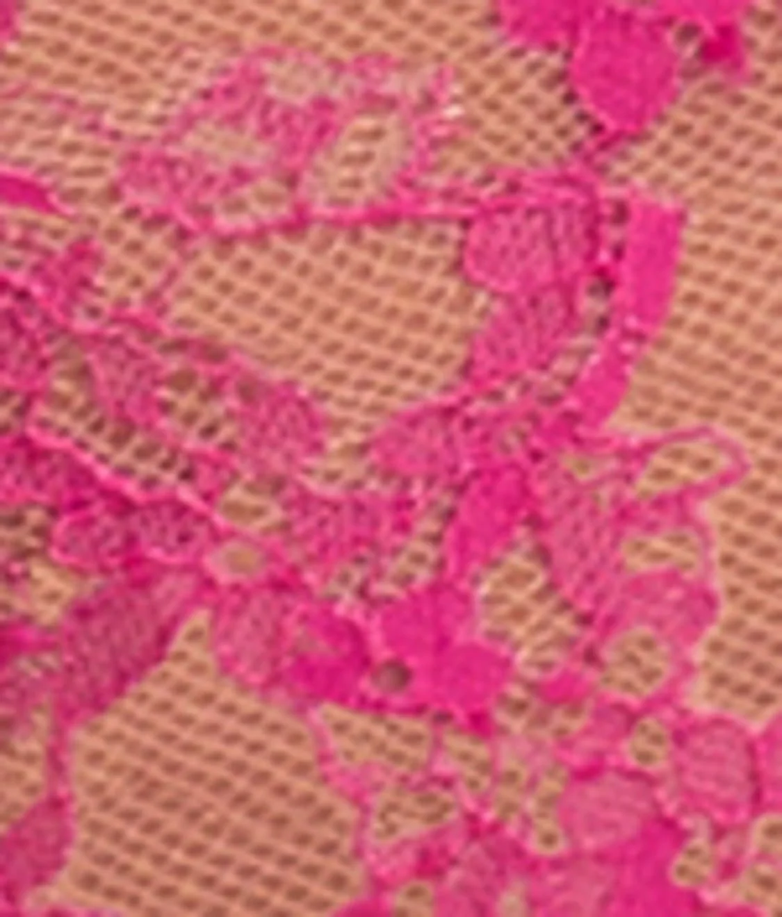 Entice Brief - Image 9